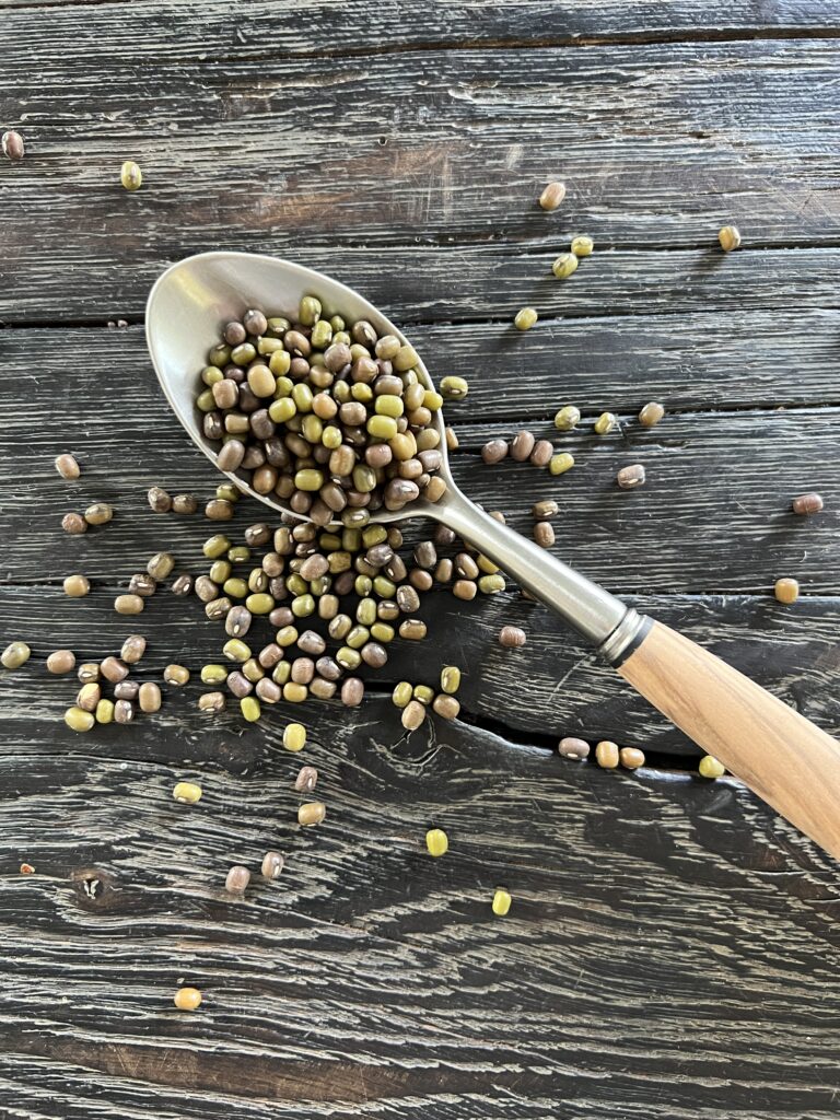 mungboenner-til-salat