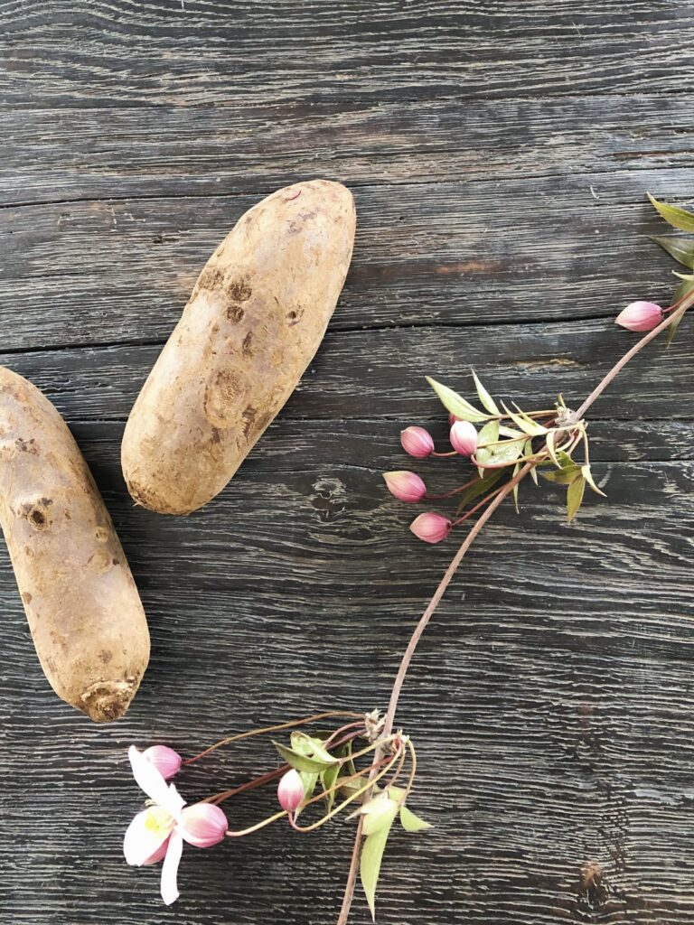 roedbeder-til-roedbedesalat-lagt-paa-bord-med-blomst