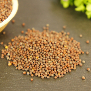 Sennepsfrø, Brune | Økologisk | 60 g