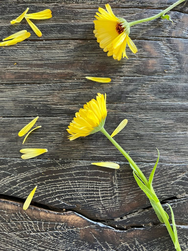 gule spiselige blomster til bulgursalat liggende på en sort rustik træbaggrund